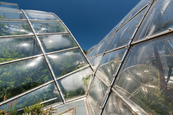 28+ schön Bilder Botanischer Garten Graz - Botanischer Garten in Graz mit Skulptur "No Return" von ... / Im botanischen garten der universität graz ist die renovierung des alten gewächshauses abgeschlossen.