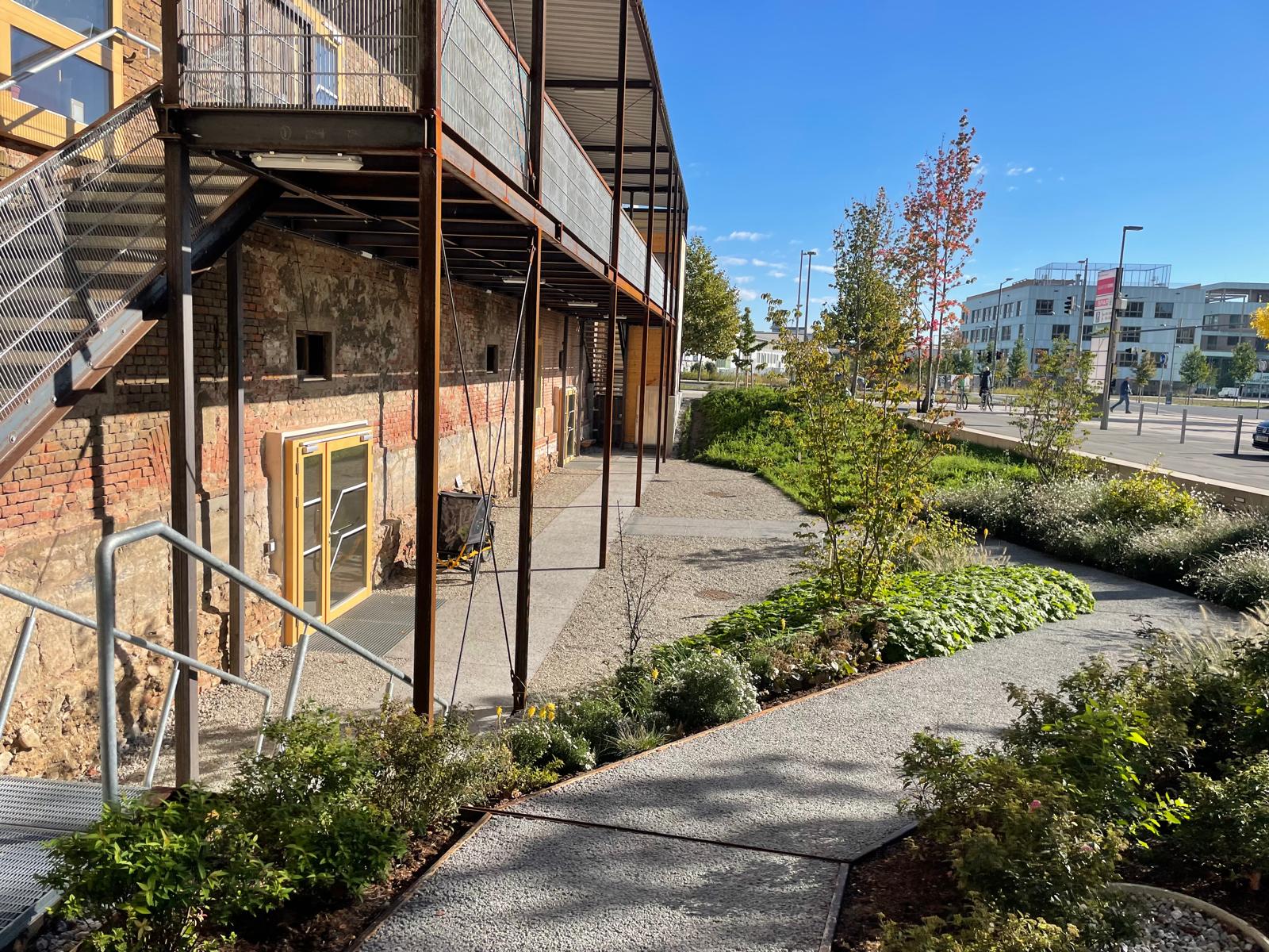 WhatsApp Image 2025-10-09 at 11.22.25