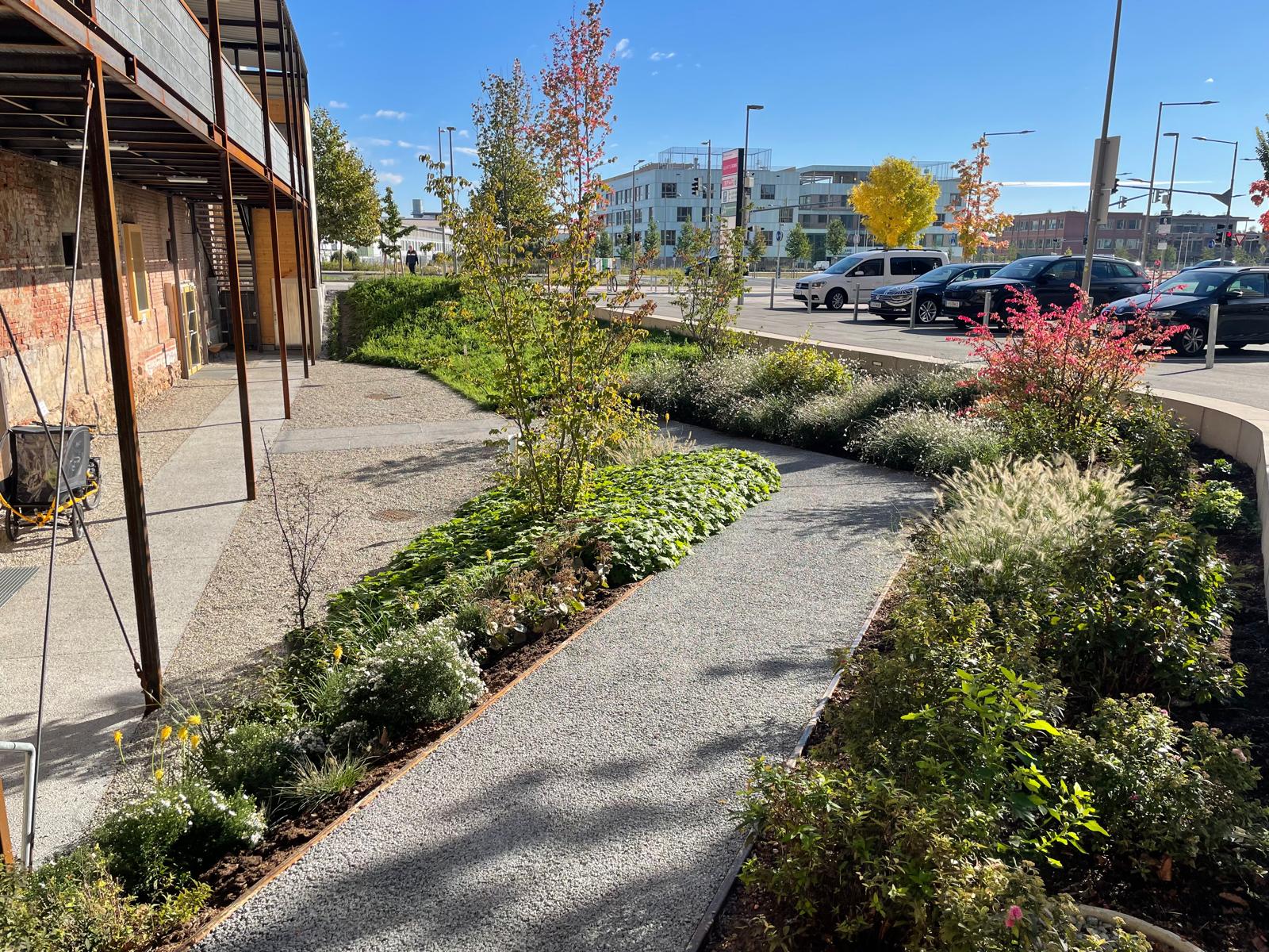 WhatsApp Image 2025-10-09 at 11.22.26 (1)