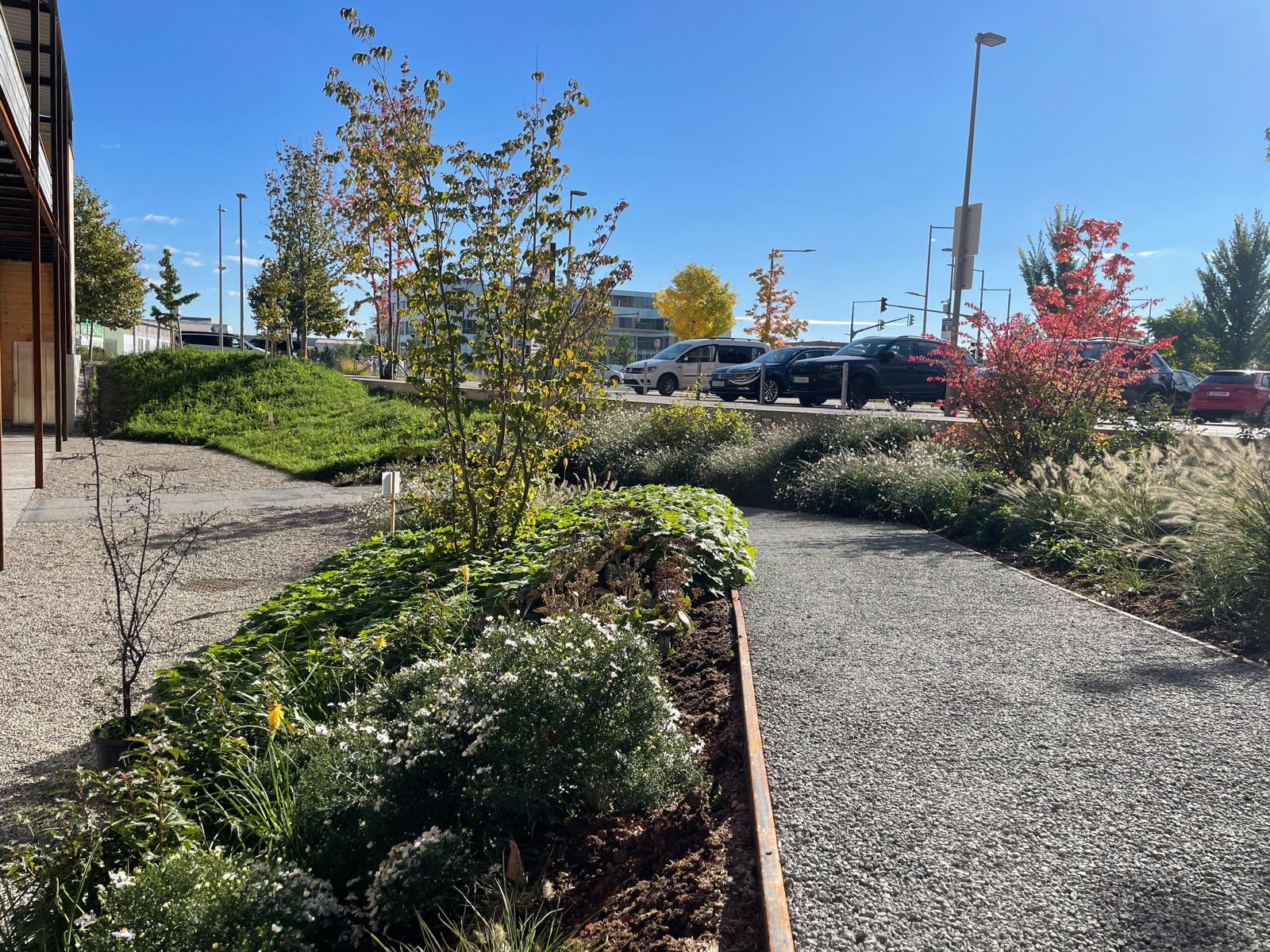 WhatsApp Image 2025-10-09 at 11.22.27