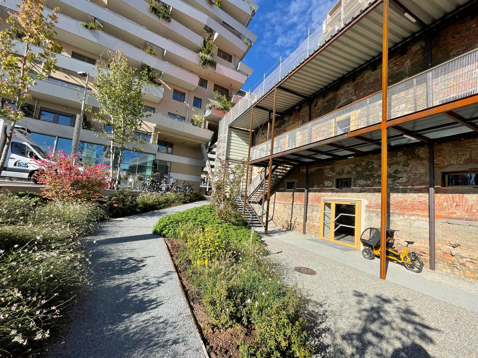 WhatsApp Image 2025-10-09 at 11.22.28