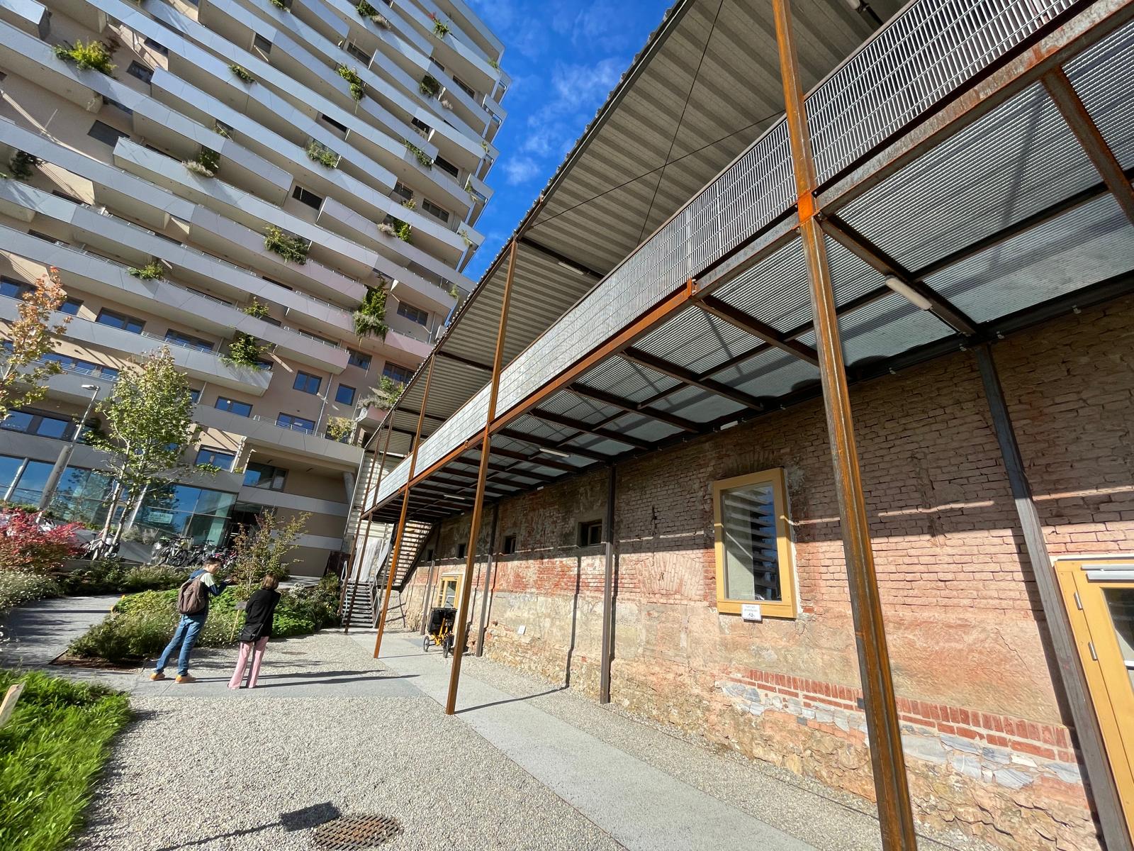 WhatsApp Image 2025-10-09 at 11.22.29