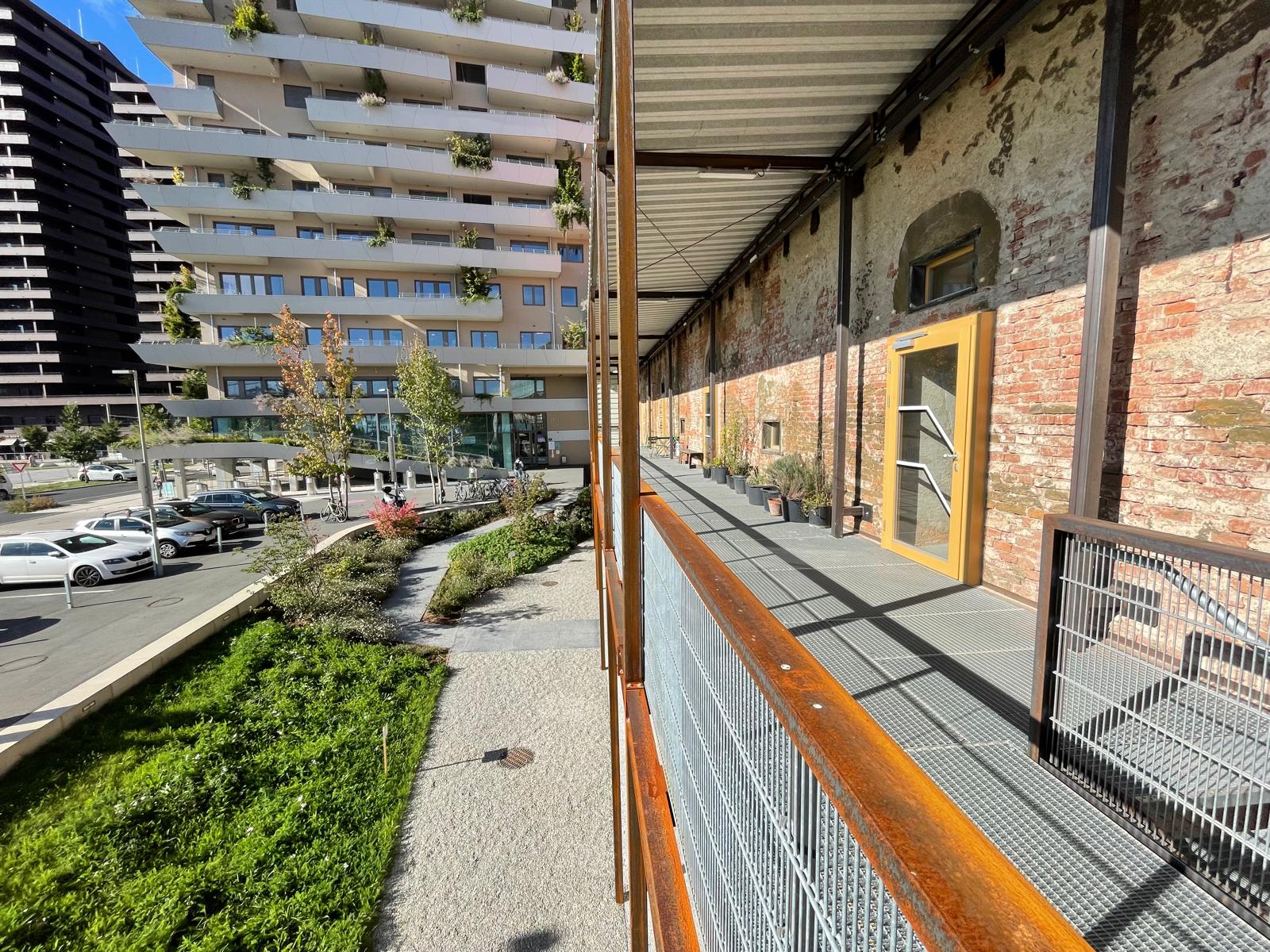 WhatsApp Image 2025-10-09 at 11.25.31 (2)