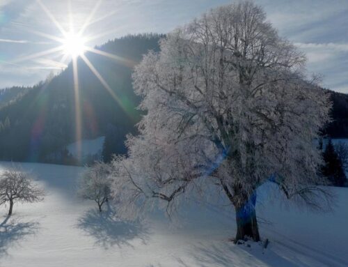 AUSSTRAHLUNG: Doku „Landleben – Rund um Seewiesen“
