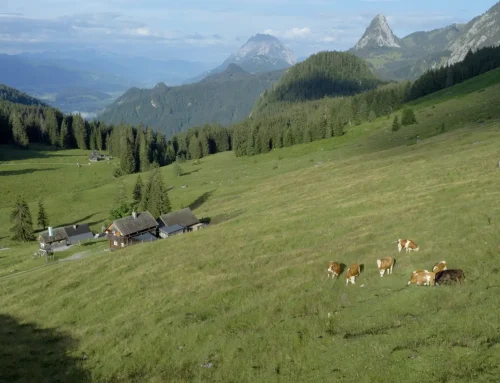 TV-TIPP: „Heimat Österreich – Rund um Rottenmann“